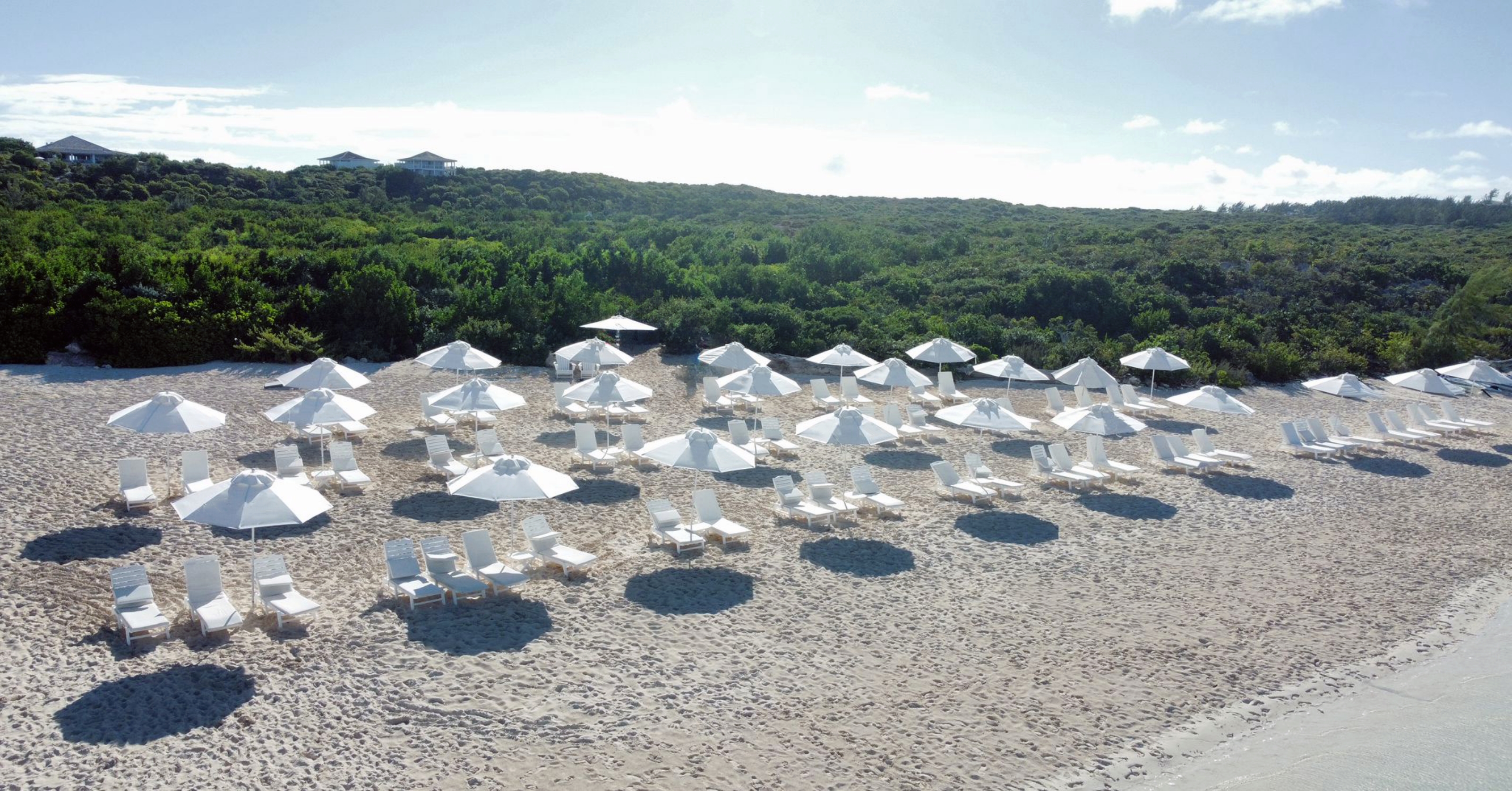 Four Frankford Beach Oakwood Loungers set up on the beach sand